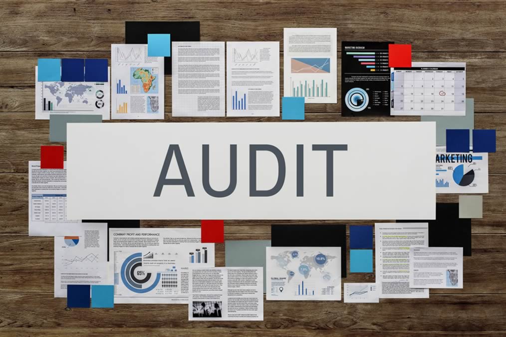 Speciality Audits